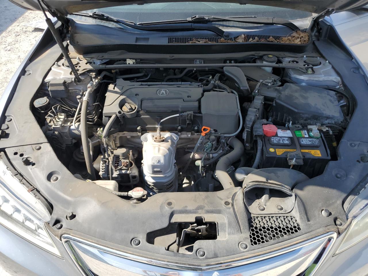 19UUB1F52GA013228 2016 Acura Tlx Tech