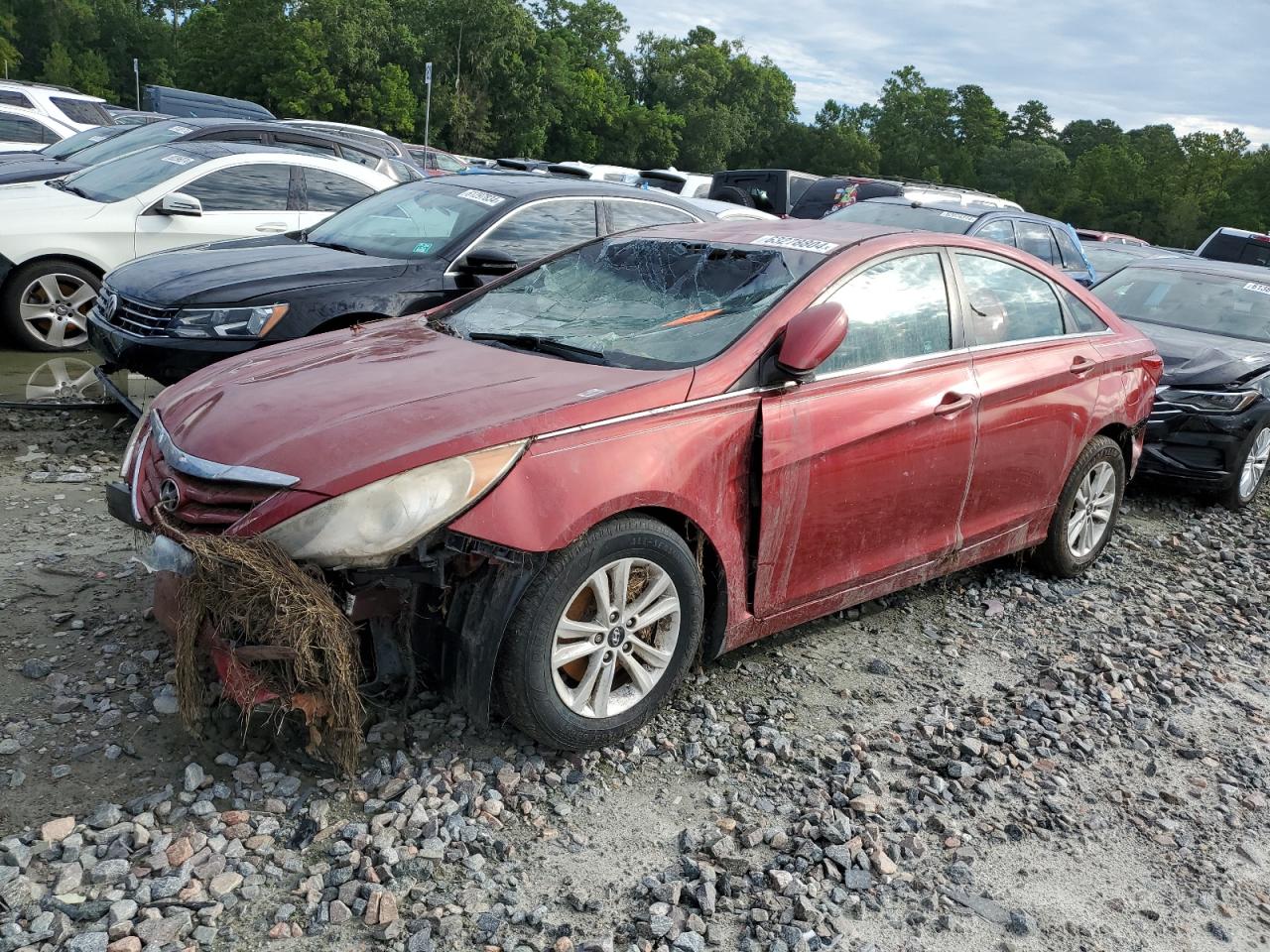 Lot #2698833627 2013 HYUNDAI SONATA GLS