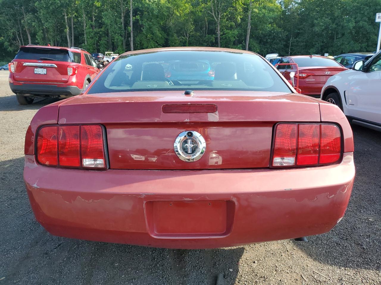 1ZVHT80N285154080 2008 Ford Mustang