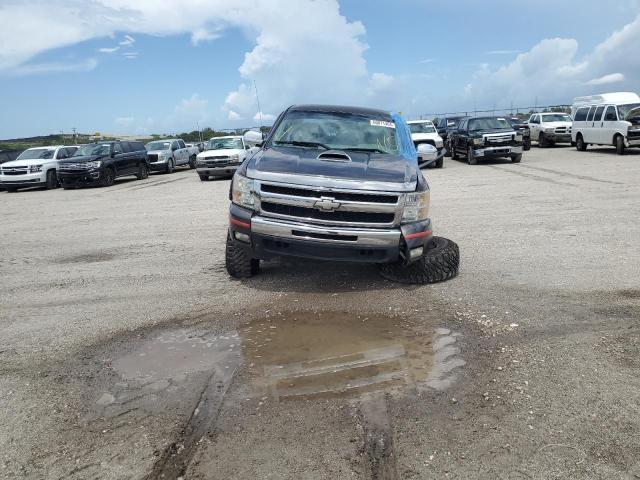 2010 Chevrolet Silverado C1500 VIN: 1GCSCPEX5AZ165280 Lot: 60871404