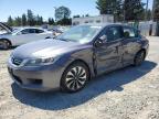 1HGCR6F30EA003359 2014 Honda Accord Hybrid