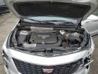 CADILLAC XT4 PREMIU photo