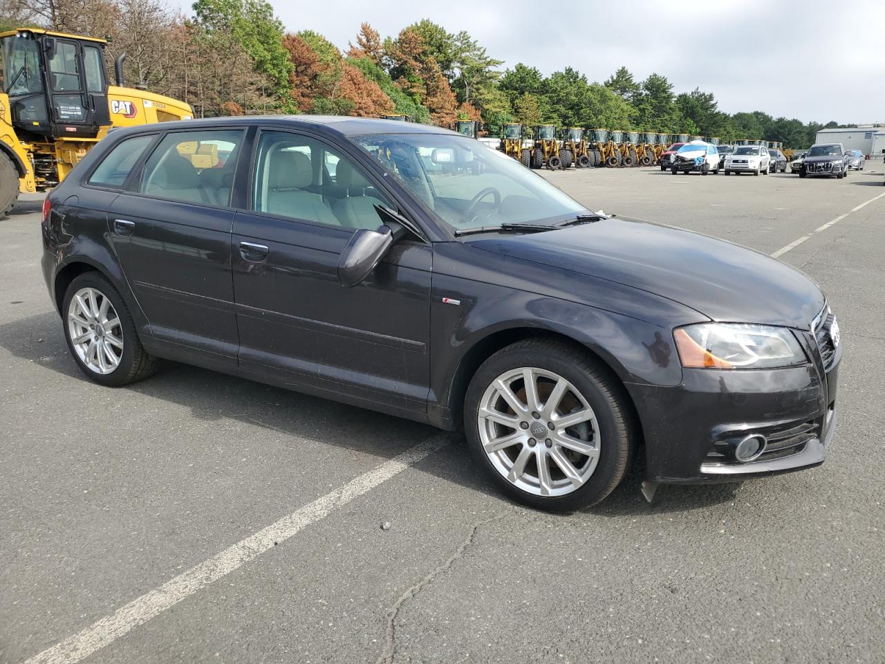 2013 Audi A3 Premium Plus vin: WAUMFAFM4DA030714