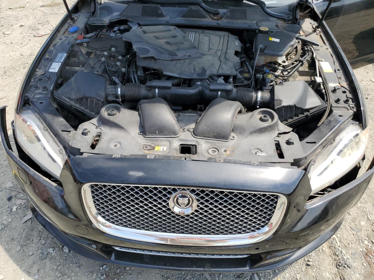 SAJWA1C79D8V55365 2013 Jaguar Xj