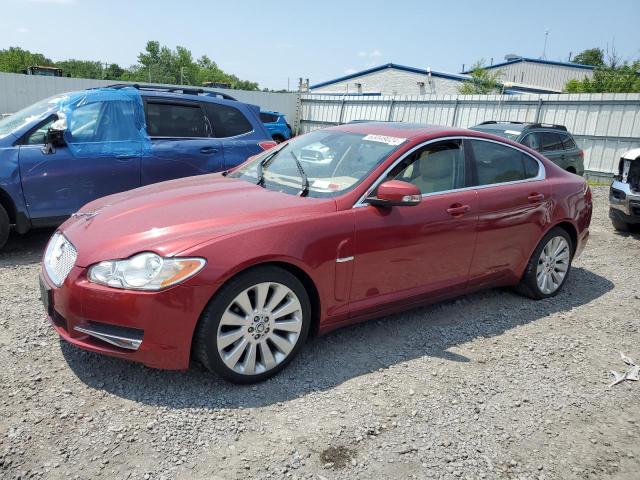 SAJWA06B59HR30279 2009 Jaguar Xf Premium Luxury