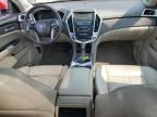 CADILLAC SRX PERFOR photo