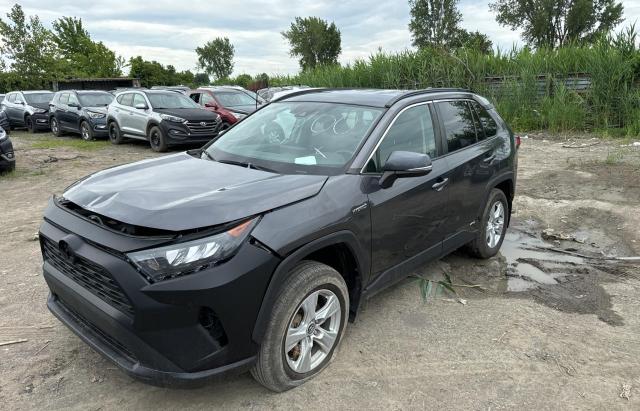 2T3BWRFV2KW001888 2019 TOYOTA RAV 4 - Image 2