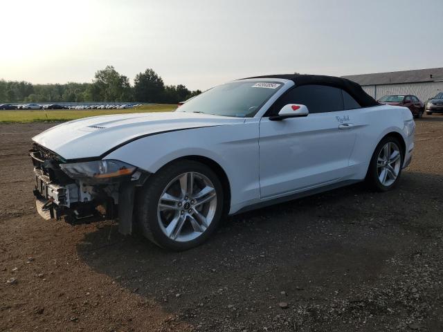 2021 FORD MUSTANG - 1FATP8UH5M5143371