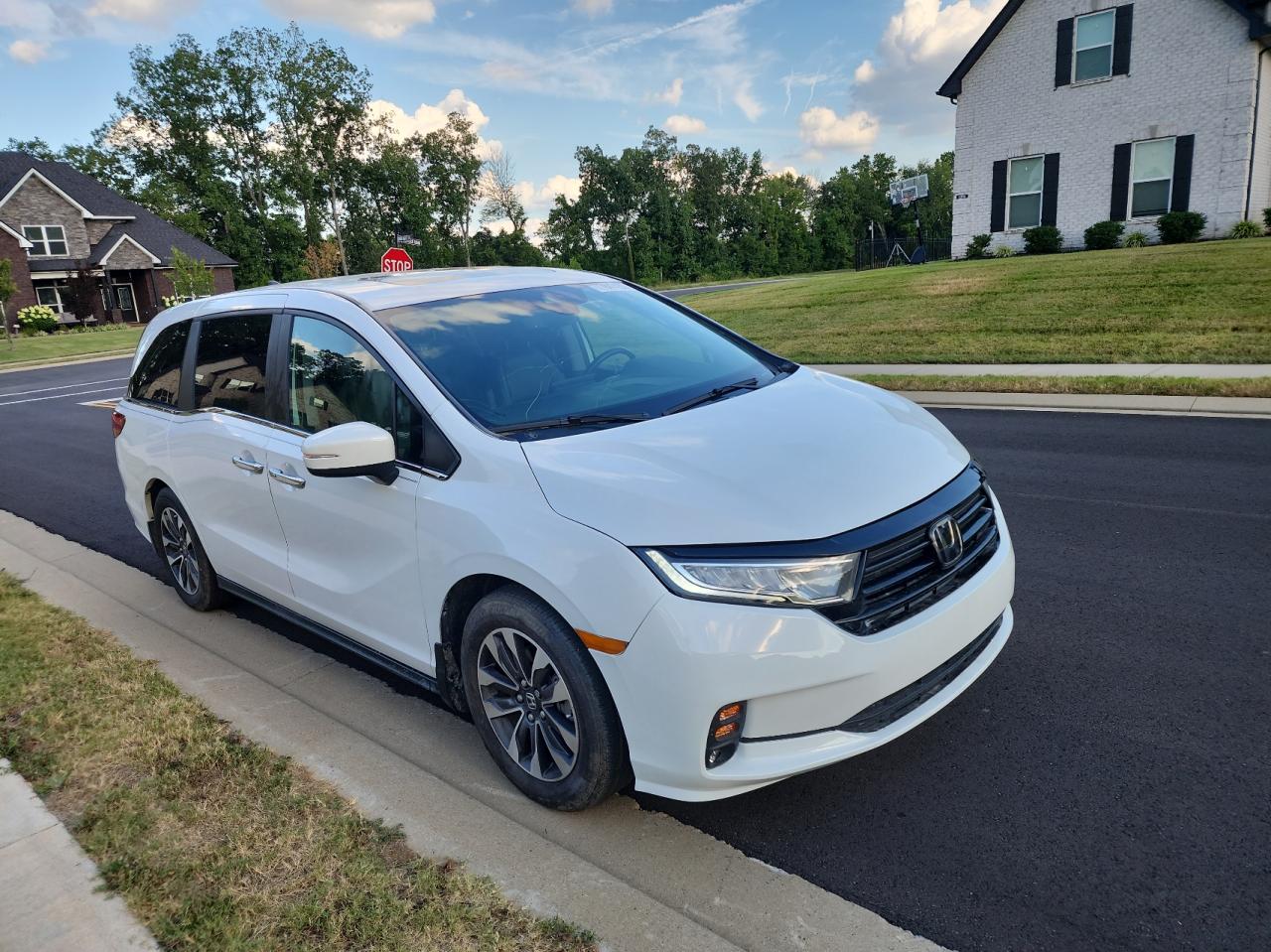 2023 Honda Odyssey Exl vin: 5FNRL6H67PB013527