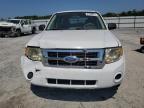 FORD ESCAPE XLS photo