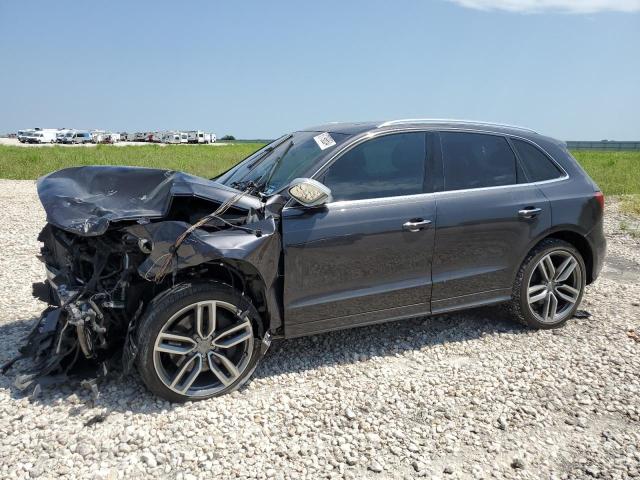 2015 Audi Sq5 Premium Plus VIN: WA1CGAFPXFA027688 Lot: 61796854