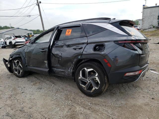 2023 HYUNDAI TUCSON LIM 5NMJECAE5PH235201  62486764