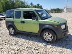 HONDA ELEMENT LX photo