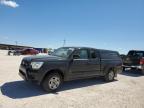 TOYOTA TACOMA ACC photo