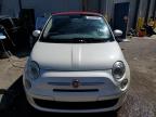 FIAT 500 POP photo