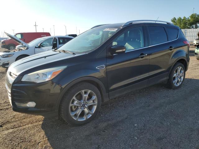 2014 FORD ESCAPE TIT #3023218184