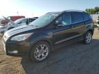 Lot #3023218184 2014 FORD ESCAPE TIT