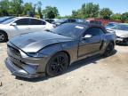 2019 FORD MUSTANG - 1FATP8UH8K5171520