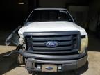 FORD F-150 photo