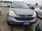 HONDA CR-V SE photo