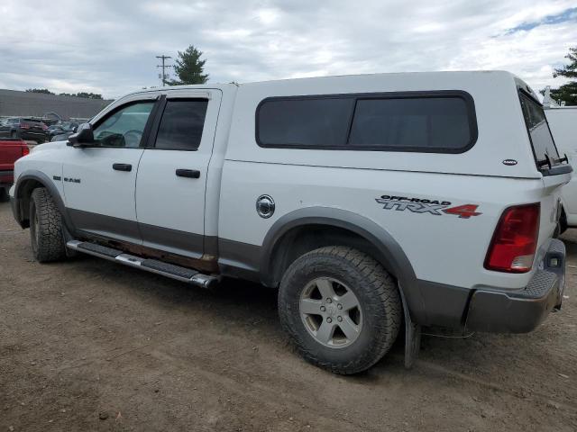 2010 Dodge Ram 1500 VIN: 1D7RV1GT1AS191194 Lot: 60979094