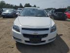 CHEVROLET MALIBU 1LT photo