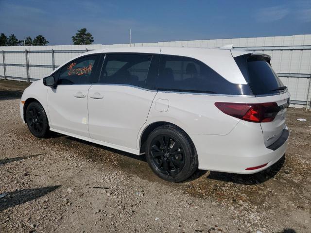 2024 HONDA ODYSSEY SP 5FNRL6H79RB030020