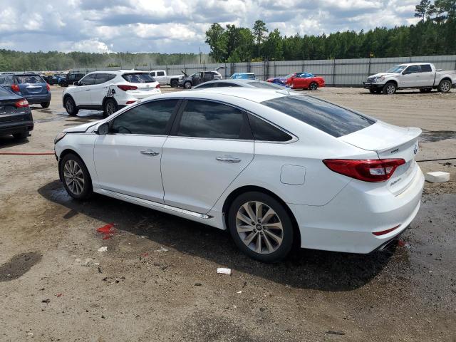2016 HYUNDAI SONATA SPO - 5NPE34AF5GH394440
