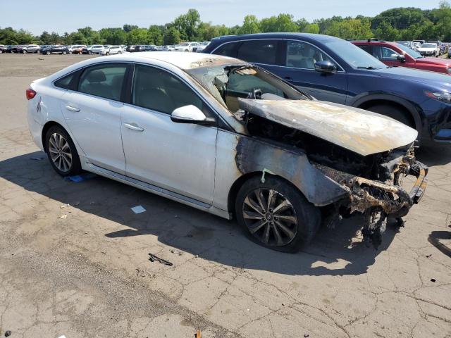 Vin: 5npe34af3gh335404, lot: 62552014, hyundai sonata sport 20164