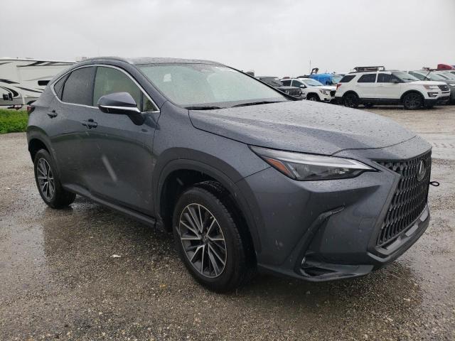 2023 LEXUS NX 250 JTJADCAZ7P5012874
