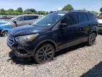 2017 FORD ESCAPE SE - 1FMCU9GDXHUC58556