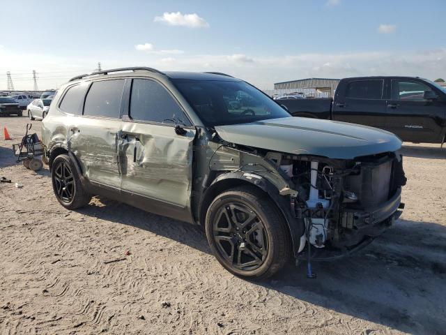 2024 KIA TELLURIDE - 5XYP5DGCXRG430083