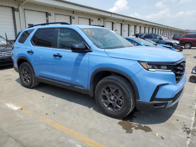 2024 HONDA PILOT TRAI - 5FNYG1H65RB023673