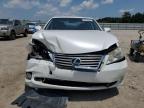 Lot #2888835467 2012 LEXUS ES 350