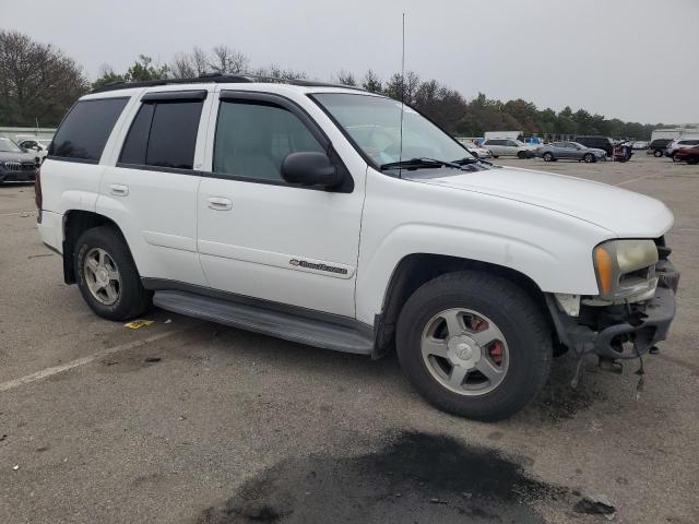 2004 Chevrolet Trailblazer Ls VIN: 1GNDT13S442290661 Lot: 62487934