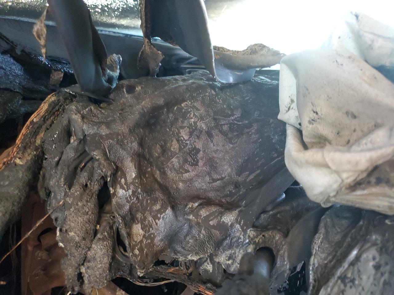 1GTEC29059Z136144 2009 GMC Sierra C1500 Sle