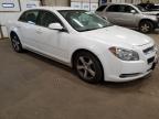 CHEVROLET MALIBU 1LT photo