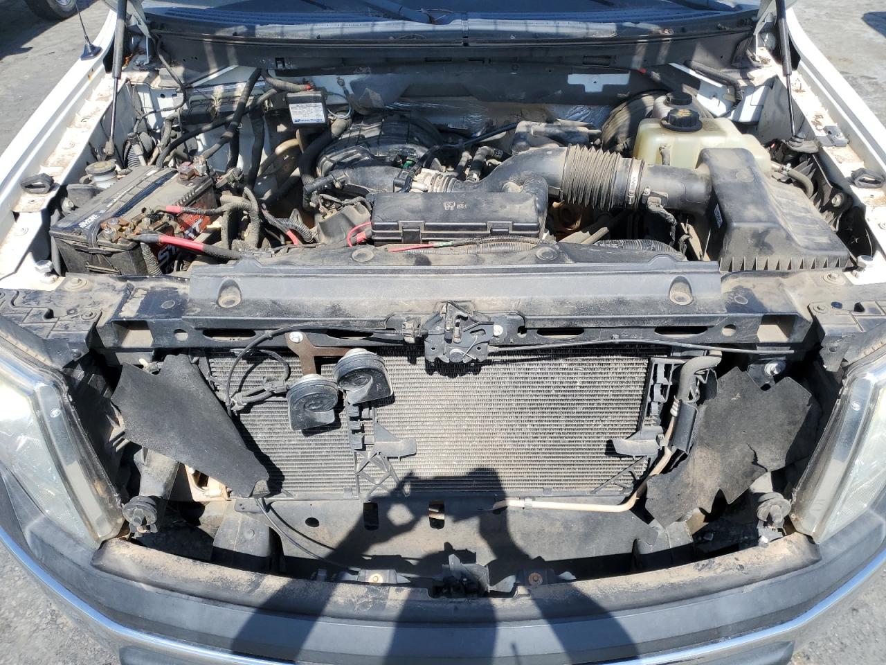 1FTMF1CM6DKE94573 2013 Ford F150