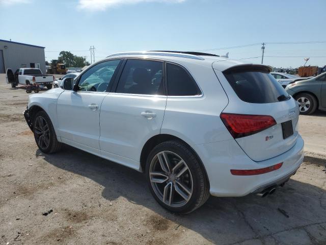 2014 Audi Sq5 Premium Plus VIN: WA1CGAFP6EA015486 Lot: 62083664