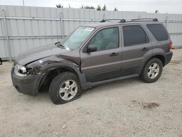 FORD ESCAPE XLT