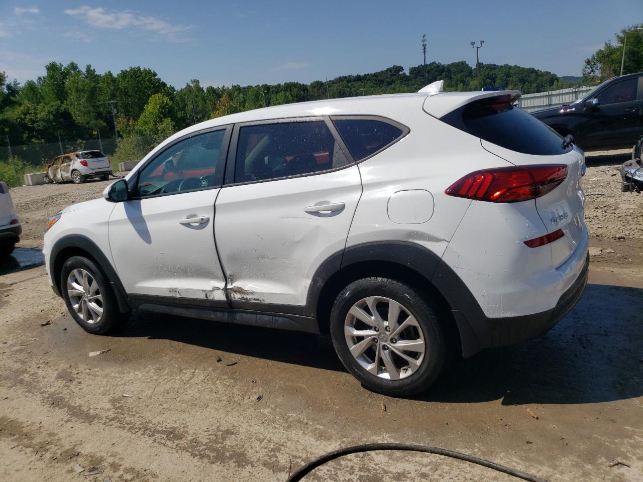 Lot #3024928359 2019 HYUNDAI TUCSON SE