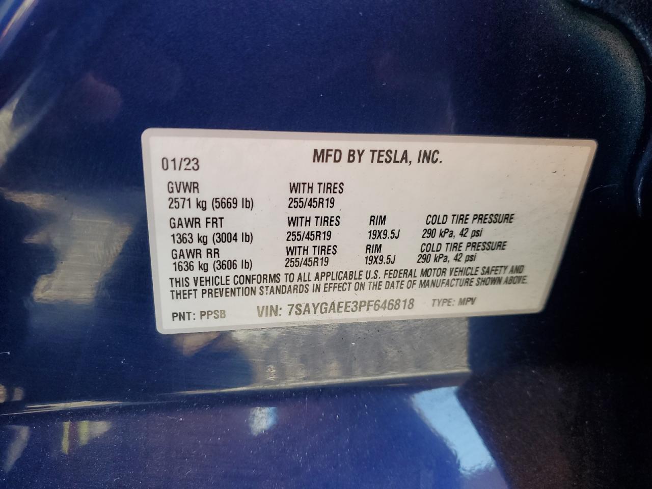 7SAYGAEE3PF646818 2023 Tesla Model Y