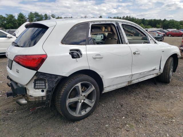 2017 Audi Q5 Premium Plus S-Line VIN: WA1D7AFP3HA081275 Lot: 61877094