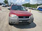 FORD ESCAPE XLT photo