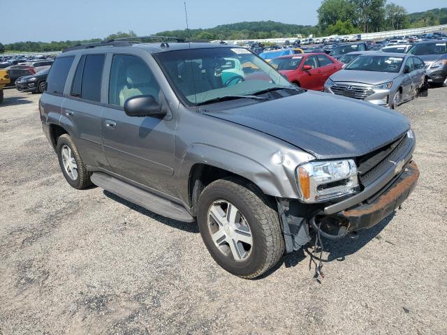 2005 Chevrolet Trailblazer Ls VIN: 1GNDT13S052225873 Lot: 61858364