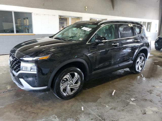 2023 Hyundai Santa Fe Sel VIN: 5NMS2DAJ2PH609120 Lot: 61609914