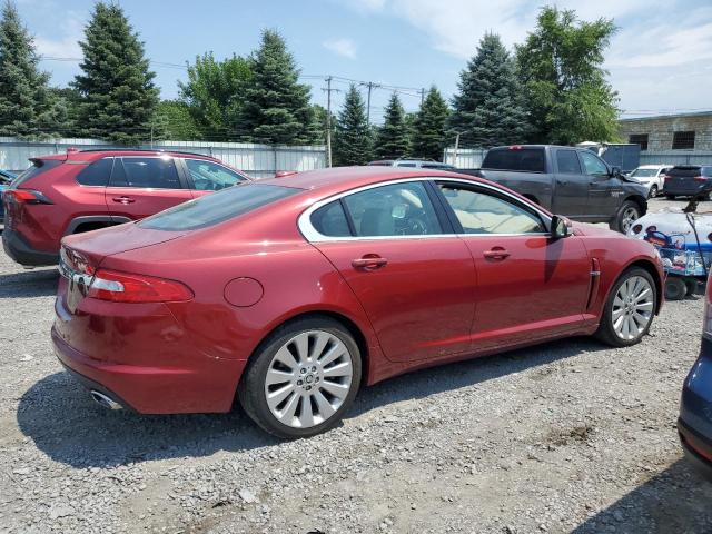 SAJWA06B59HR30279 2009 Jaguar Xf Premium Luxury