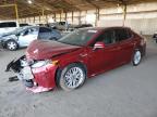 2020 TOYOTA CAMRY XLE - 4T1F31AKXLU525180