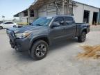 TOYOTA TACOMA DOU photo