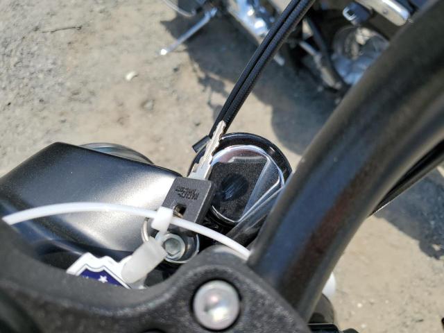 2019 HARLEY-DAVIDSON XL1200 NS - 1HD1LP312KC431836